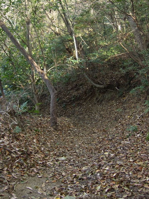 矢野愛宕神社～広島湾絶景パノラマを堪能⑤境内を降り、鳥居まで進む_b0095061_9334030.jpg