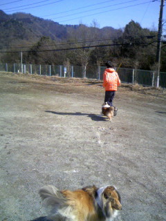 近況&ウエストミンスター速報_f0126965_1526189.jpg