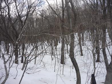 e0139167_1836438.jpg