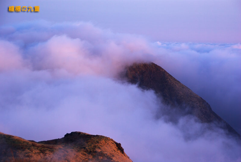 f0173067_10113031.jpg