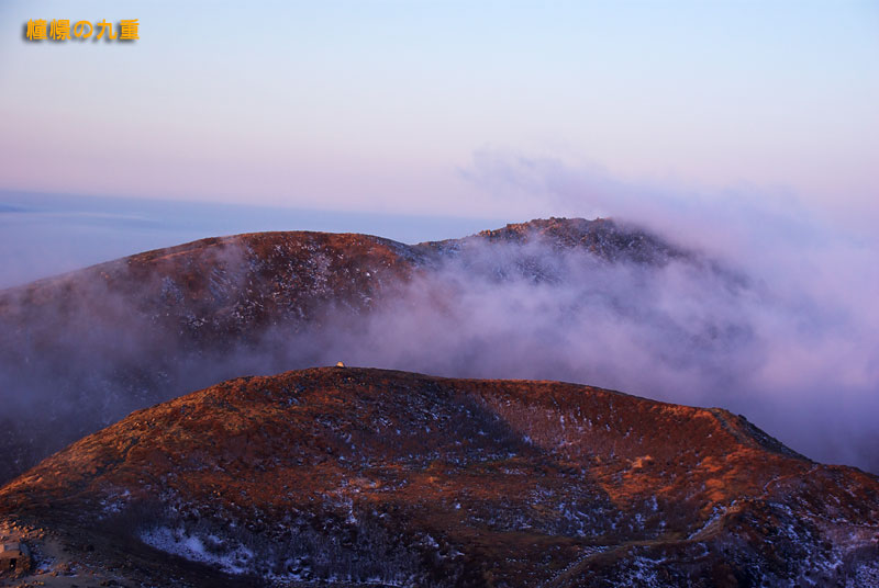 f0173067_1016214.jpg
