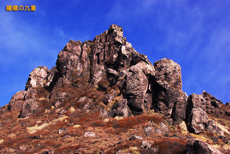 f0173067_119527.jpg