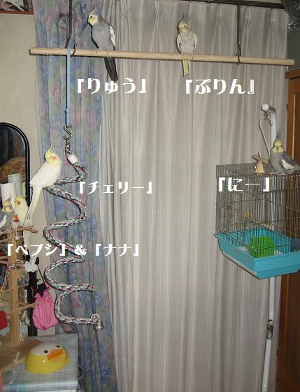 e0027078_174875.jpg