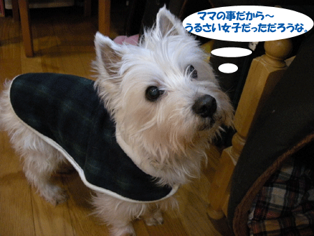 e0066883_0233583.gif