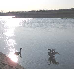 f0050287_14224574.jpg