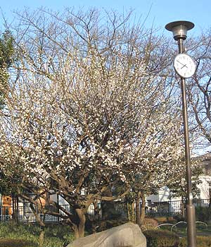 f0050287_1451736.jpg