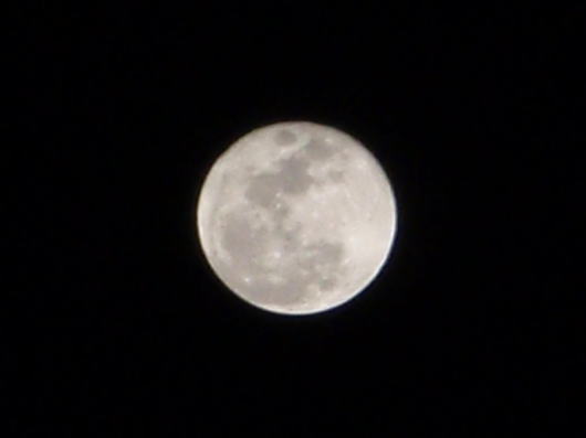 b0055202_23311.jpg