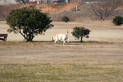 f0191413_173277.jpg