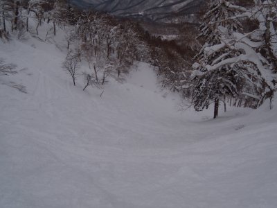 e0126914_20382916.jpg