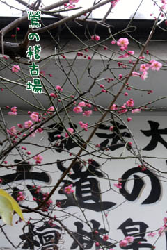 e0156015_22463518.jpg