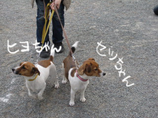 c0185516_20433425.jpg