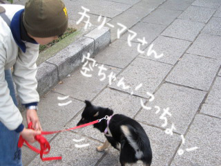 c0185516_20591048.jpg