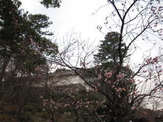 c0185516_212531.jpg