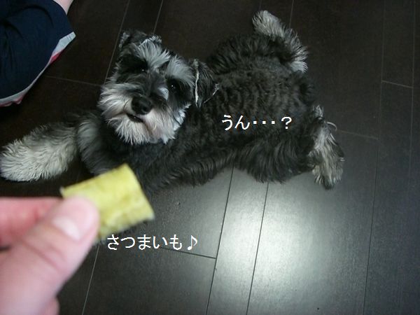 f0197317_14501662.jpg
