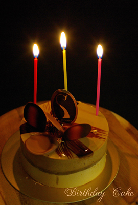 イデミ スギノ Birthday Cake Lapinの散歩