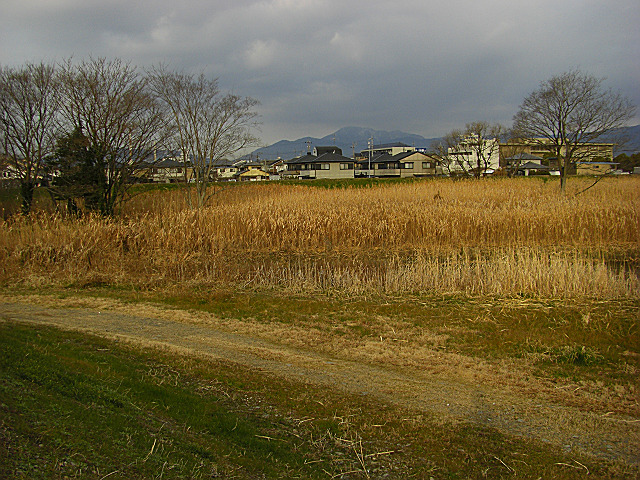 b0088444_22164794.jpg