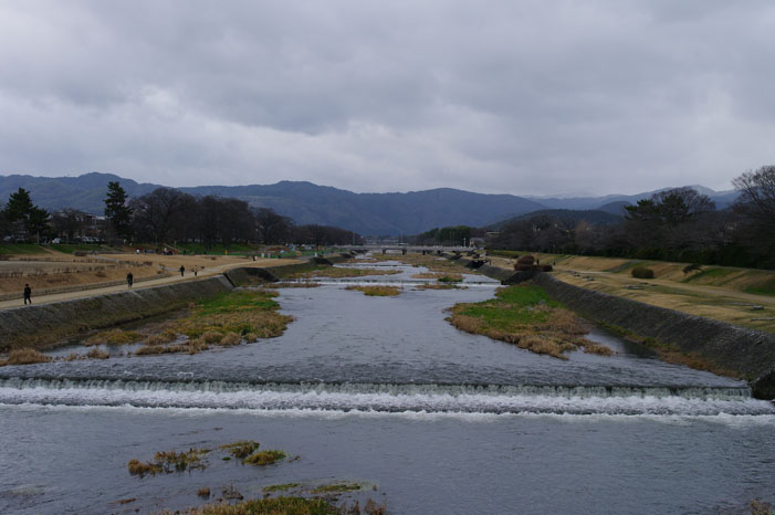 久しぶりにリキと鴨川散歩．．． Ⅱ（帰り）_f0152550_22283337.jpg