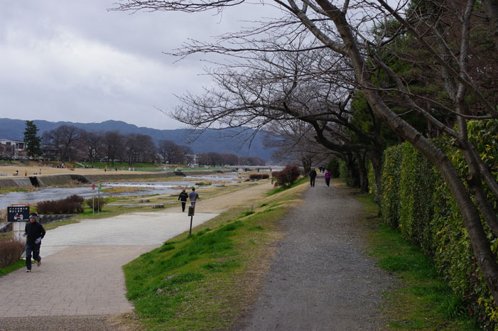 久しぶりにリキと鴨川散歩．．． Ⅱ（帰り）_f0152550_22285971.jpg