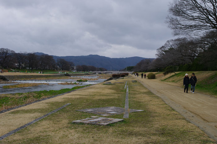 久しぶりにリキと鴨川散歩．．． Ⅱ（帰り）_f0152550_22291779.jpg