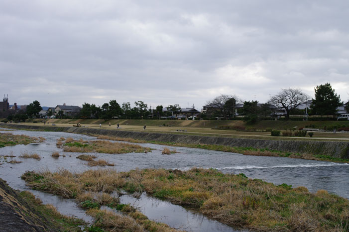 久しぶりにリキと鴨川散歩．．． Ⅱ（帰り）_f0152550_223007.jpg