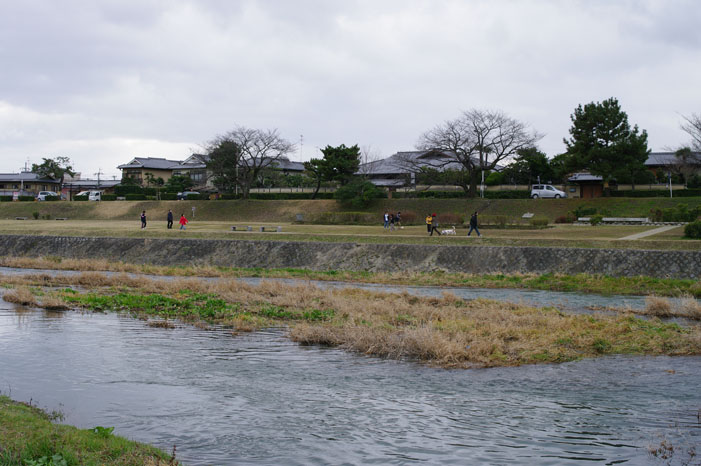 久しぶりにリキと鴨川散歩．．． Ⅱ（帰り）_f0152550_22304247.jpg