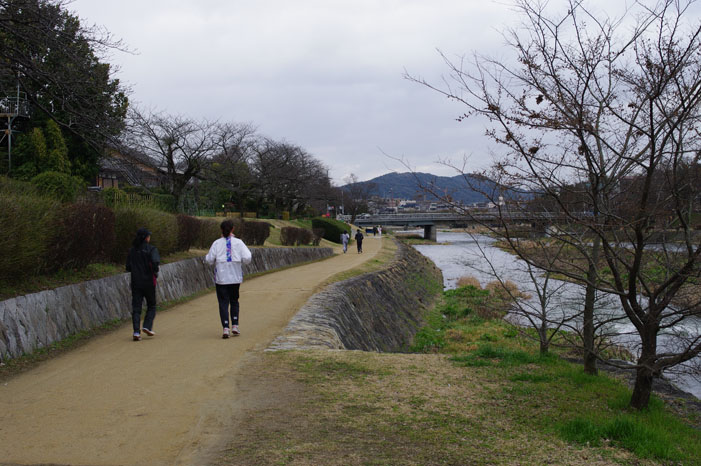 久しぶりにリキと鴨川散歩．．． Ⅱ（帰り）_f0152550_22315119.jpg