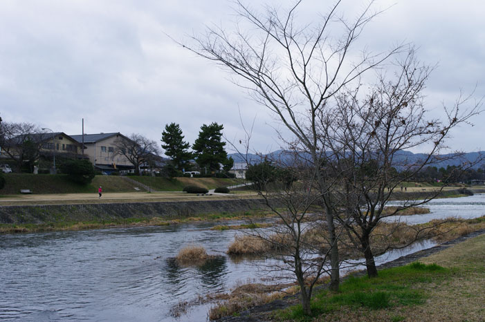 久しぶりにリキと鴨川散歩．．． Ⅱ（帰り）_f0152550_2232762.jpg