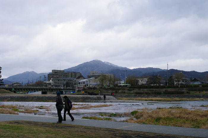 久しぶりにリキと鴨川散歩．．． Ⅱ（帰り）_f0152550_22333196.jpg