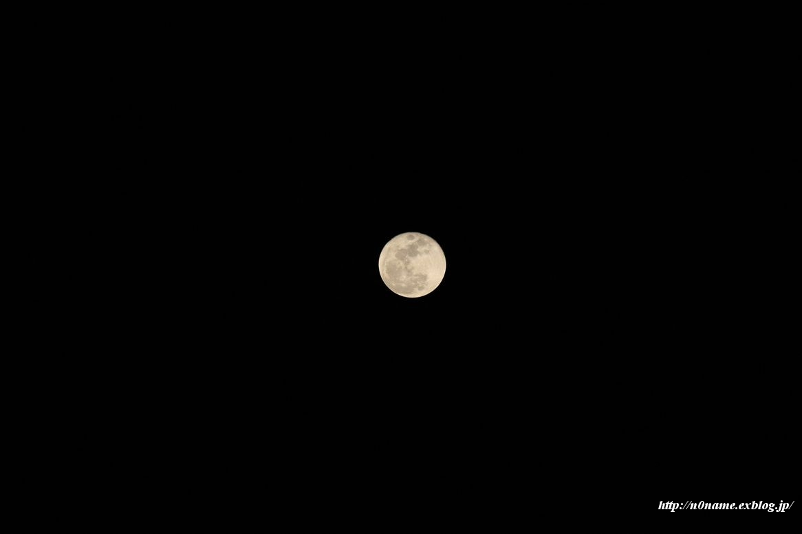 d0152551_28823.jpg