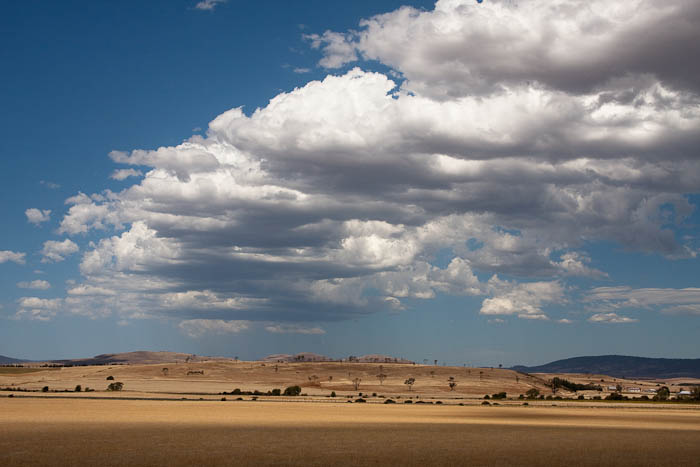f0137354_20512112.jpg