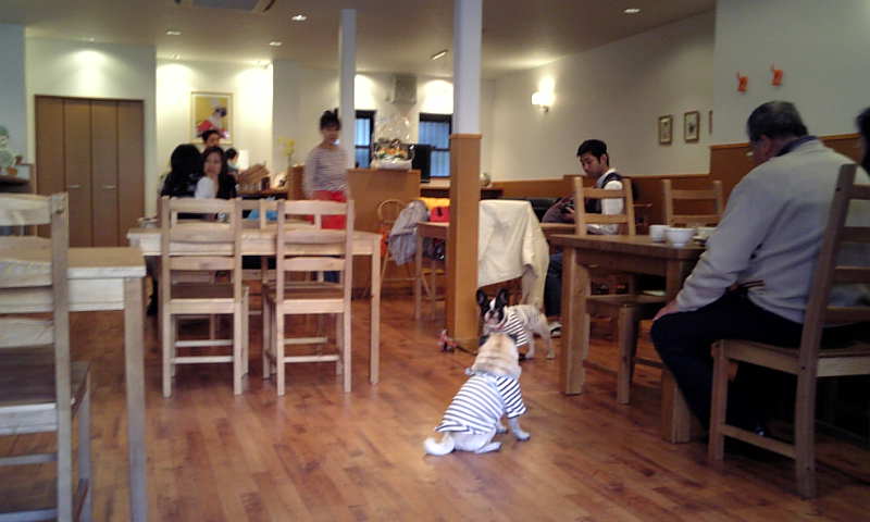 b0130273_2139142.jpg