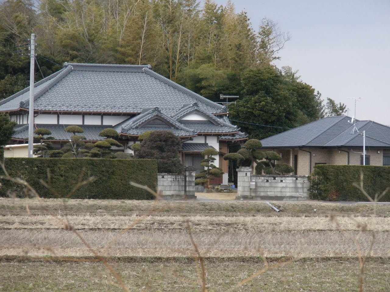 b0157276_1928126.jpg