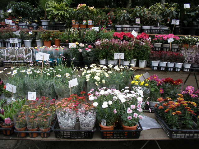 b0157276_19371669.jpg