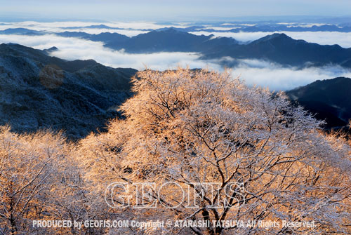 今年二度目の積雪・関八州見晴台・越辺川源流部へ_b0007284_1639385.jpg