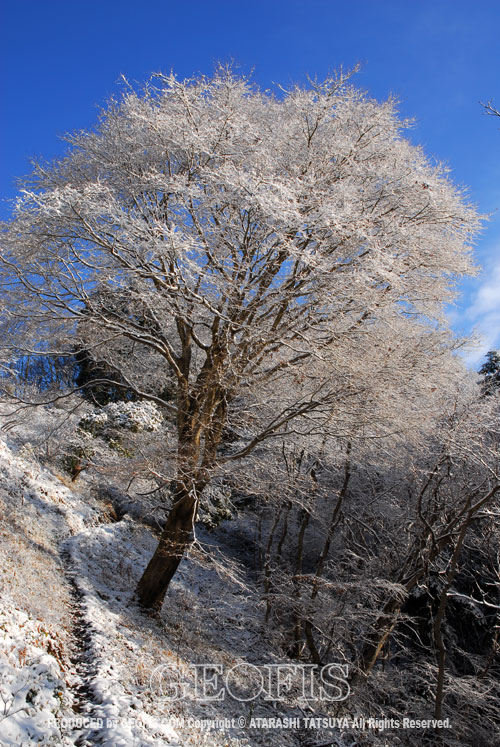 今年二度目の積雪・関八州見晴台・越辺川源流部へ_b0007284_16505416.jpg
