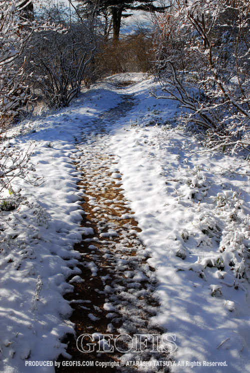 今年二度目の積雪・関八州見晴台・越辺川源流部へ_b0007284_16524013.jpg