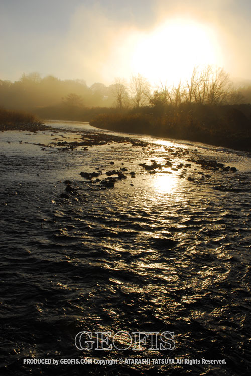 b0007284_20111488.jpg