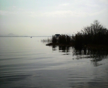 冬の琵琶湖。_f0135385_11551355.jpg