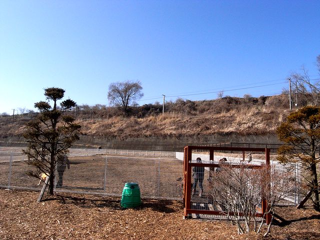 一体全体雪はあるのか？ツアー2009　浅間山の麓にて編_a0093592_17344755.jpg