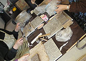 f0065896_0191328.jpg