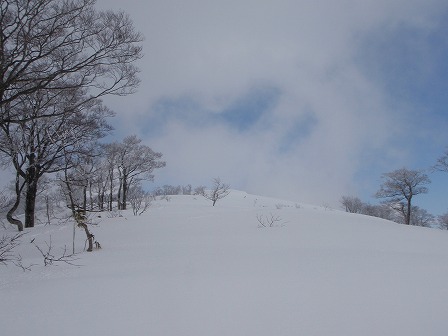 c0147398_22574639.jpg