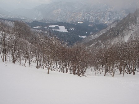 c0147398_2303240.jpg