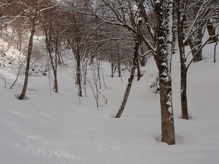 c0147398_2314551.jpg