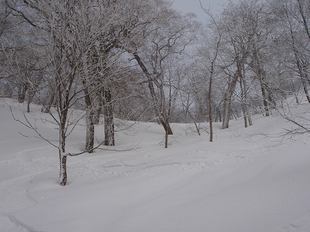 c0147398_231942.jpg