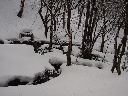 c0147398_2322818.jpg