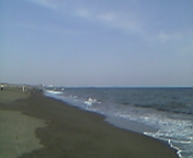 c0186001_1734376.jpg