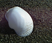 c0186001_17391795.jpg