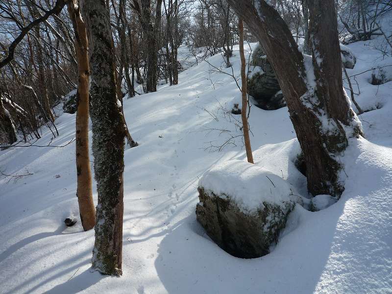 大永山トンネルからちち山へ_b0124306_23534635.jpg