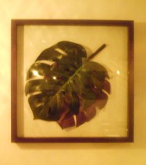 c0197508_0383247.jpg