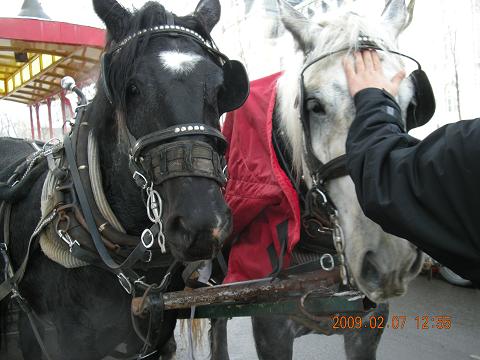 c0192813_3273641.jpg